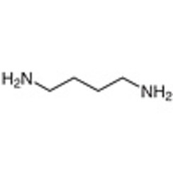 1,4-Diaminobutane >98.0%(GC)(T) 25g