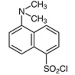 Dansyl Chloride >98.0%(HPLC)(T) 1g