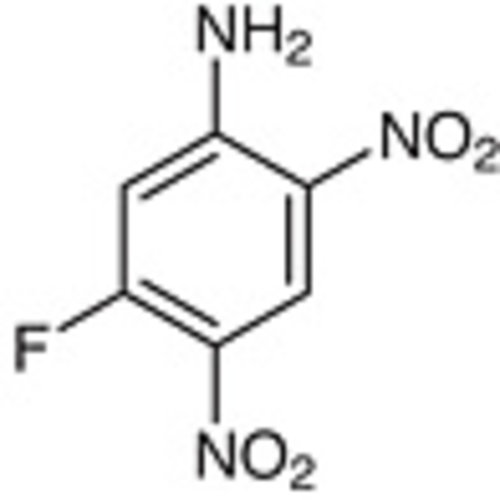 2,4-Dinitro-5-fluoroaniline >98.0%(GC) 1g
