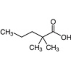 2,2-Dimethylvaleric Acid >98.0%(GC)(T) 25mL