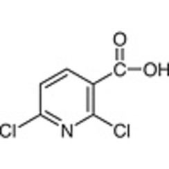 2,6-Dichloronicotinic Acid >98.0%(GC)(T) 25g