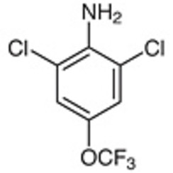 2,6-Dichloro-4-(trifluoromethoxy)aniline >98.0%(GC) 5g