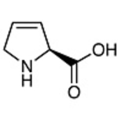 3,4-Dehydro-L-proline >99.0%(HPLC) 100mg