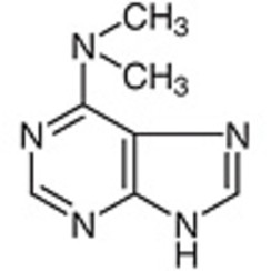 6-(Dimethylamino)purine >98.0%(HPLC)(T) 1g