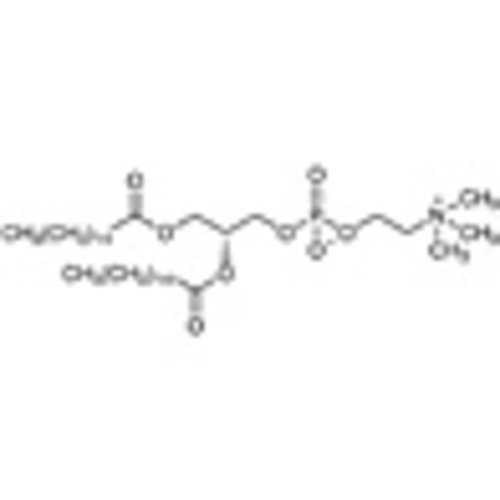 1,2-Dipalmitoyl-sn-glycero-3-phosphocholine >98.0%(HPLC) 1g