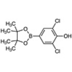 2,6-Dichloro-4-(4,4,5,5-tetramethyl-1,3,2-dioxaborolan-2-yl)phenol >97.0%(GC)(T) 1g
