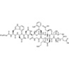 Daptomycin >94.0%(HPLC)(N) 100mg