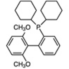 2-Dicyclohexylphosphino-2',6'-dimethoxybiphenyl >98.0%(HPLC) 1g
