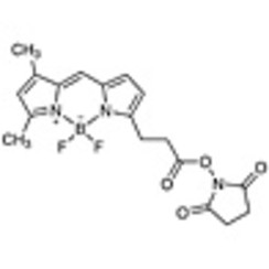 BDP FL NHS Ester >98.0%(HPLC) 5mg