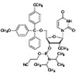 DMT-2'-O-methyl-rU Phosphoramidite >98.0%(HPLC) 250mg