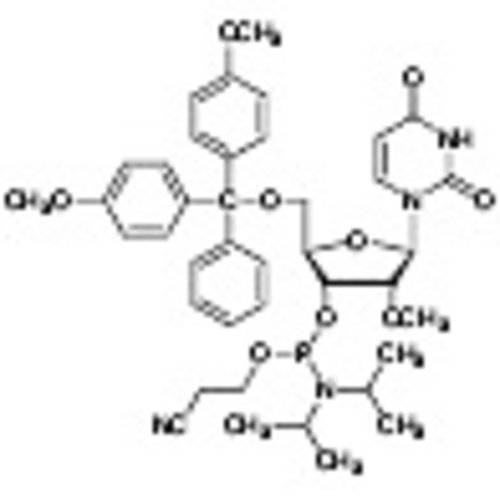 DMT-2'-O-methyl-rU Phosphoramidite >98.0%(HPLC) 250mg