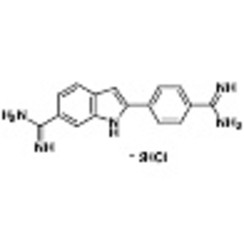 DAPI 2HCl (0.2mL*5) (1mg/mL in Water) [for Cell Staining] 1set
