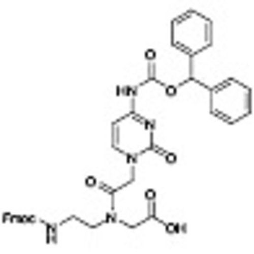 Fmoc-PNA-C(Bhoc)-OH >98.0%(HPLC)(qNMR) 1g
