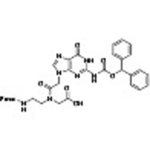 Fmoc-PNA-G(Bhoc)-OH >98.0%(HPLC)(qNMR) 1g