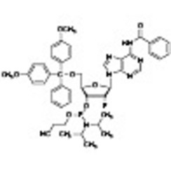 DMT-2'-Fluoro-dA(Bz) Phosphoramidite >90.0%(qNMR) 250mg