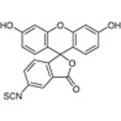 Fluorescein 5-Isothiocyanate (isomer I) >97.0%(HPLC)(T) 100mg