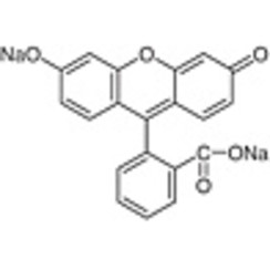 Uranine >95.0%(HPLC) 25g