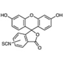 Fluorescein Isothiocyanate (mixture of 5- and 6- isomers) >97.0%(HPLC)(T) 100mg