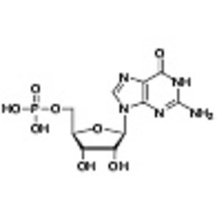 Guanosine 5'-Monophosphate >98.0%(HPLC)(T) 200mg