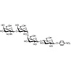 GalNAc beta(1-3)Gal alpha(1-4)Gal beta(1-4)Glc-beta-pNP >88.0%(HPLC) 5mg