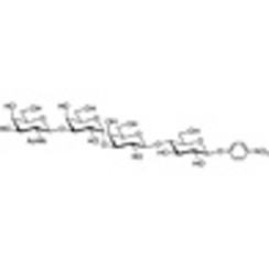 GalNAc beta(1-3)Gal alpha(1-3)Gal beta(1-4)Glc-beta-pNP