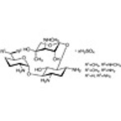 Gentamicin Sulfate 1g