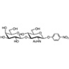 Gal beta(1-3)GlcNAc-beta-pNP
