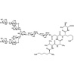 G2-peptide >95.0%(HPLC) 5mg