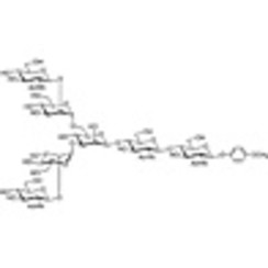 G0 MP Glycoside