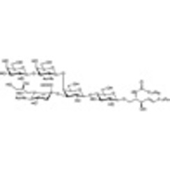 Ganglioside GM1