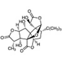 Ginkgolide B >93.0%(HPLC) 100mg