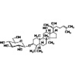 20(R)-Ginsenoside Rh2 >97.0%(HPLC) 5mg