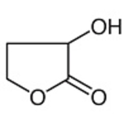 alpha-Hydroxy-gamma-butyrolactone >98.0%(GC) 10g