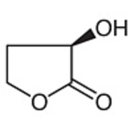 (R)-(+)-alpha-Hydroxy-gamma-butyrolactone >98.0%(GC) 100mg