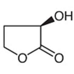 (R)-(+)-alpha-Hydroxy-gamma-butyrolactone >98.0%(GC) 1g