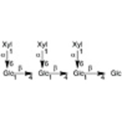 Heptasaccharide Glc4Xyl3 >95.0%(HPLC) 100mg