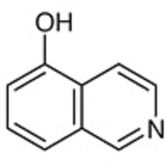 5-Hydroxyisoquinoline >96.0%(GC)(T) 25g
