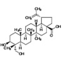 23-Hydroxybetulinic Acid >98.0%(HPLC) 25mg