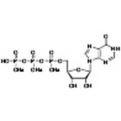 Inosine 5'-Triphosphate Trisodium Salt >85.0%(HPLC) 100mg