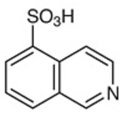 Isoquinoline-5-sulfonic Acid >96.0%(HPLC)(T) 25g