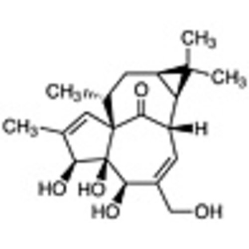 Ingenol >99.0%(HPLC) 10mg