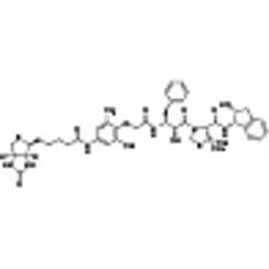 KNI-1293 Biotin >95.0%(HPLC) 5mg