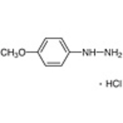 4-Methoxyphenylhydrazine Hydrochloride >98.0%(HPLC)(T) 25g