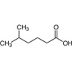 5-Methylhexanoic Acid >98.0%(T)(GC) 5mL