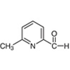 6-Methyl-2-pyridinecarboxaldehyde >98.0%(GC) 25g