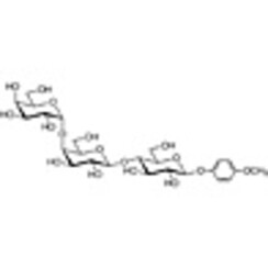 Gb3-beta-MP >95.0%(HPLC) 100mg
