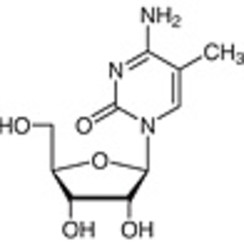 5-Methylcytidine >98.0%(HPLC)(T) 1g