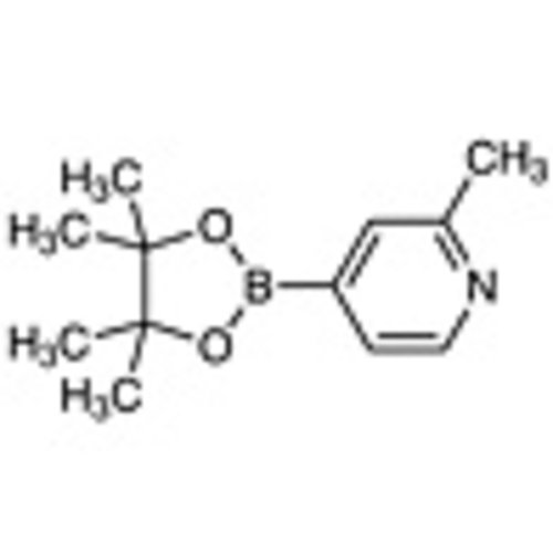 2-Methyl-4-(4,4,5,5-tetramethyl-1,3,2-dioxaborolan-2-yl)pyridine >98.0%(T) 1g