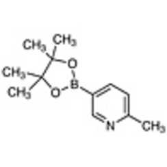 2-Methyl-5-(4,4,5,5-tetramethyl-1,3,2-dioxaborolan-2-yl)pyridine >98.0%(GC)(T) 1g