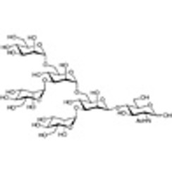 M5 Glycan (GN1 type)